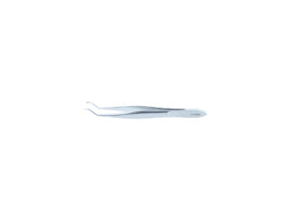 Barraquer Iris Forceps 70mm (2.75") - Serrated Tips